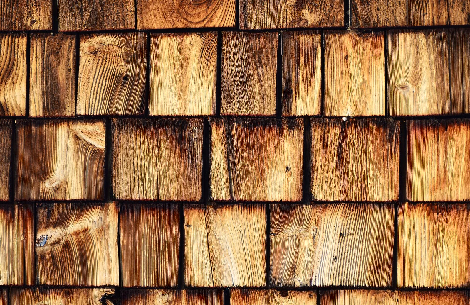 Texture serrée de bardeaux neufs en façade